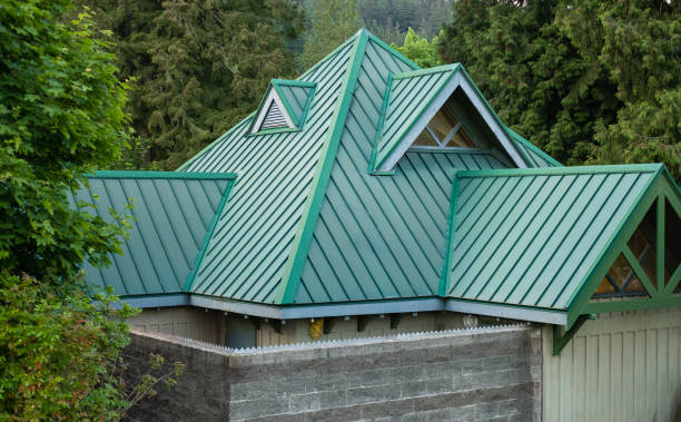Best Skylight Installation and Repair  in Mccall, ID